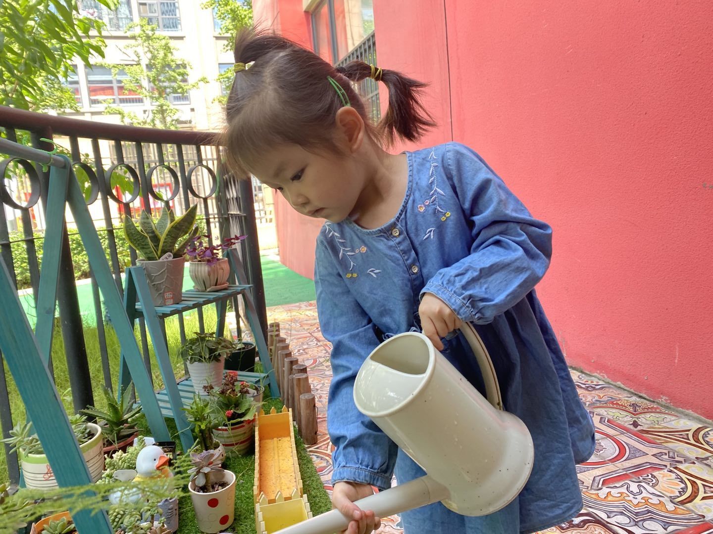 合肥市庐阳实验幼儿园教育集团四里河畔园：植物角养护