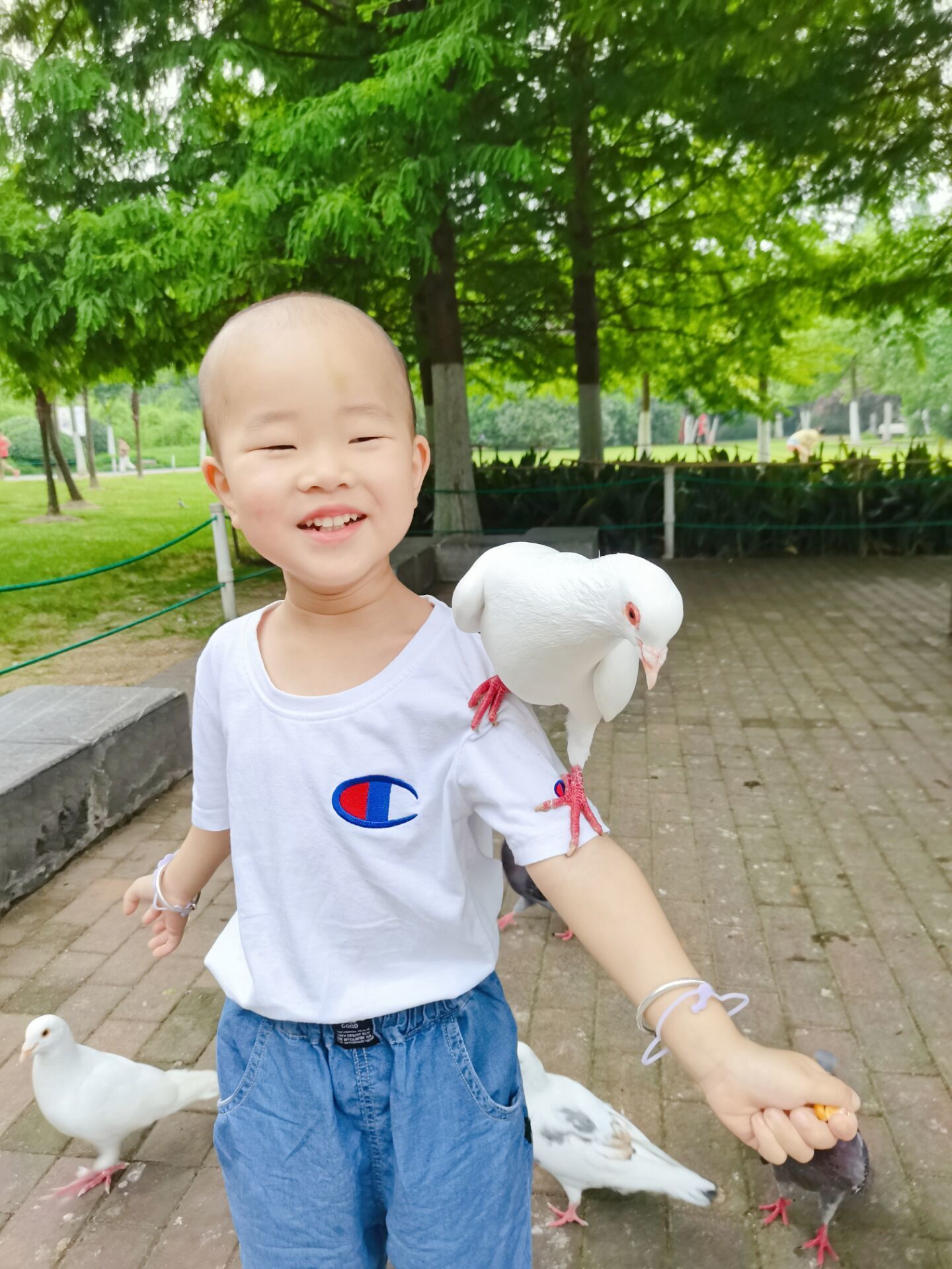 合肥市庐阳实验幼儿园教育集团四里河畔园：爱护动物